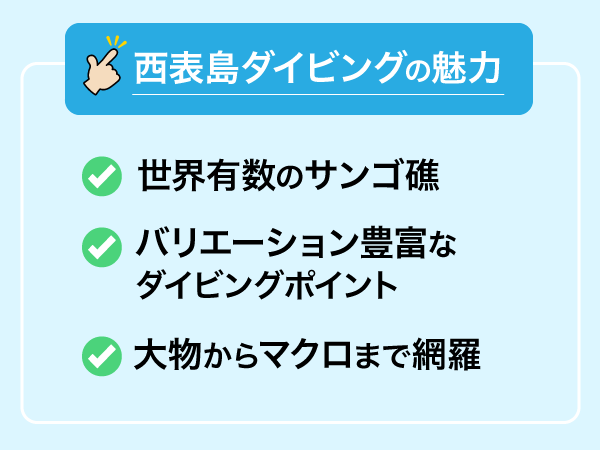 西表島ダイビングの魅力